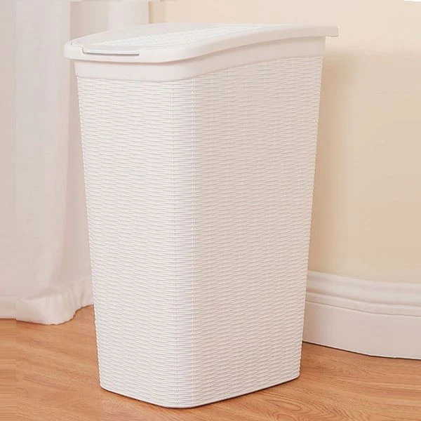 Mwazi panyen lesiv plastik
